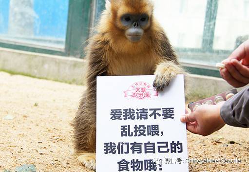 欲钱买娇小玲珑的动物是什么生肖警惕虚假宣传、全面解答与解释、科学解答解释落实